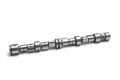 49960_00