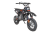 Питбайк RIZEE   50 12/10 V2T (артикул 79264)